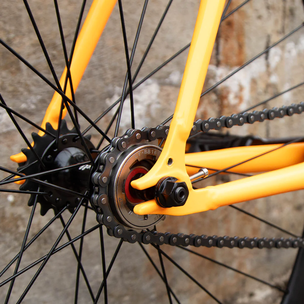 Limited Edition: The Ember Flyer - Image 13