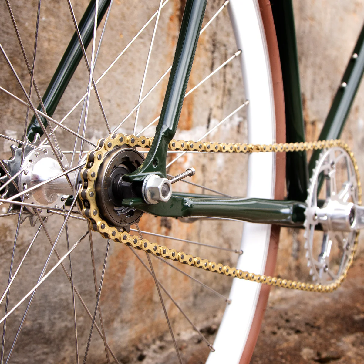 Limited Edition: The Evergreen - Image 7